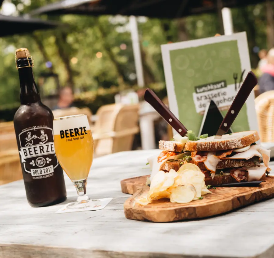 Holland Campings Ferienpark Beerze Bulten Terrasse 2