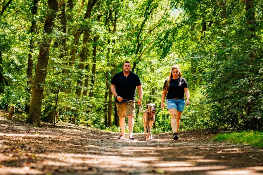 Holland Camping Ferienpark De Luttenberg Hund 1