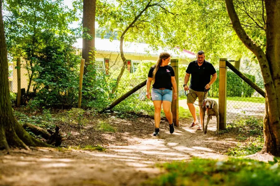 Holland Camping Ferienpark De Luttenberg Hund 2
