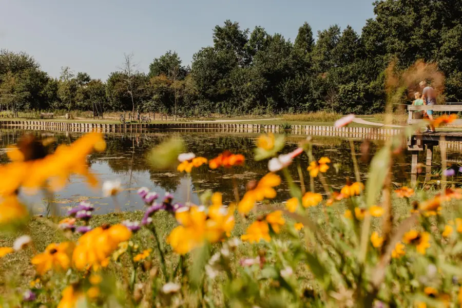 Holland Campings Kleine Wolf Fischteich Blümen