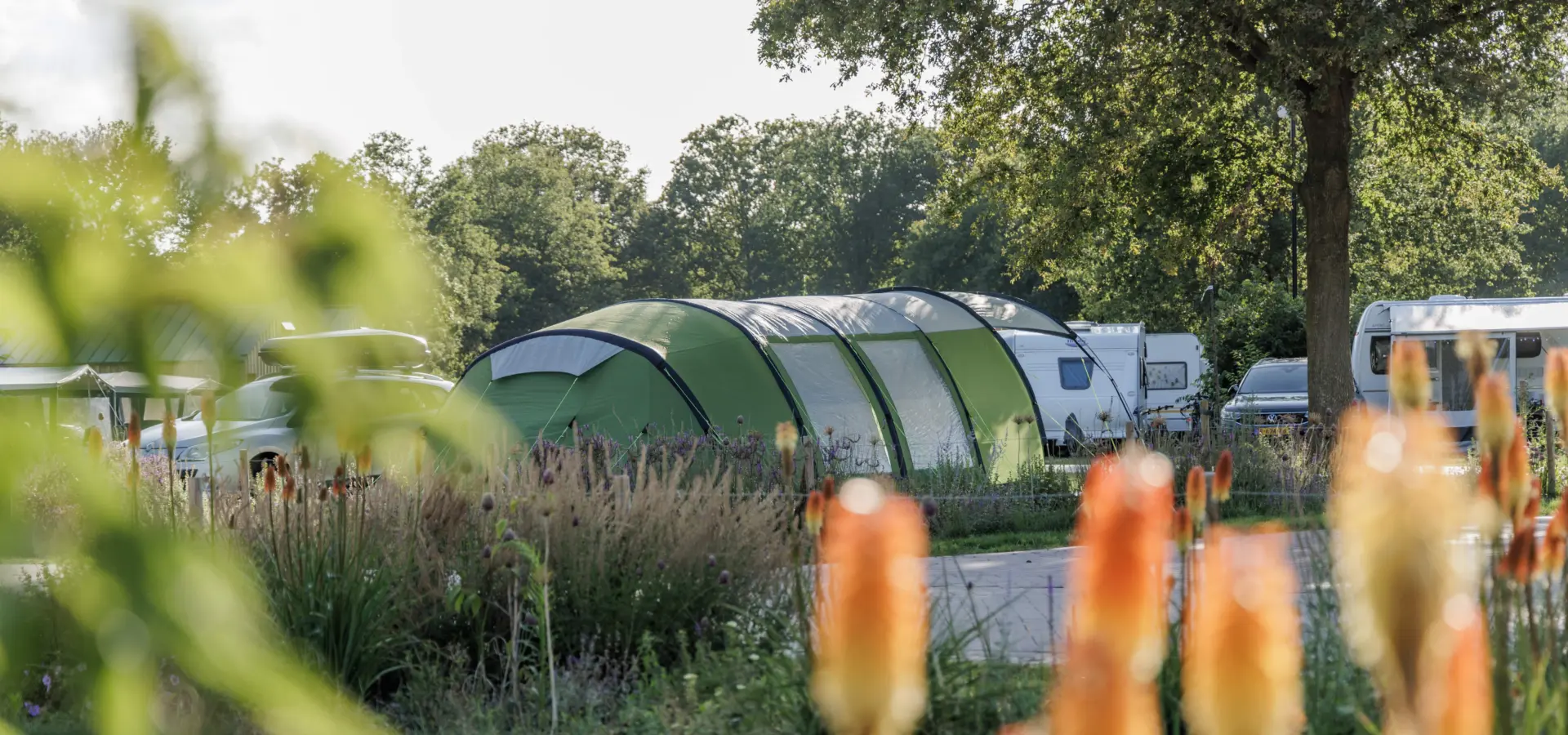 Holland Campings Twee Bruggen Zelt Natur