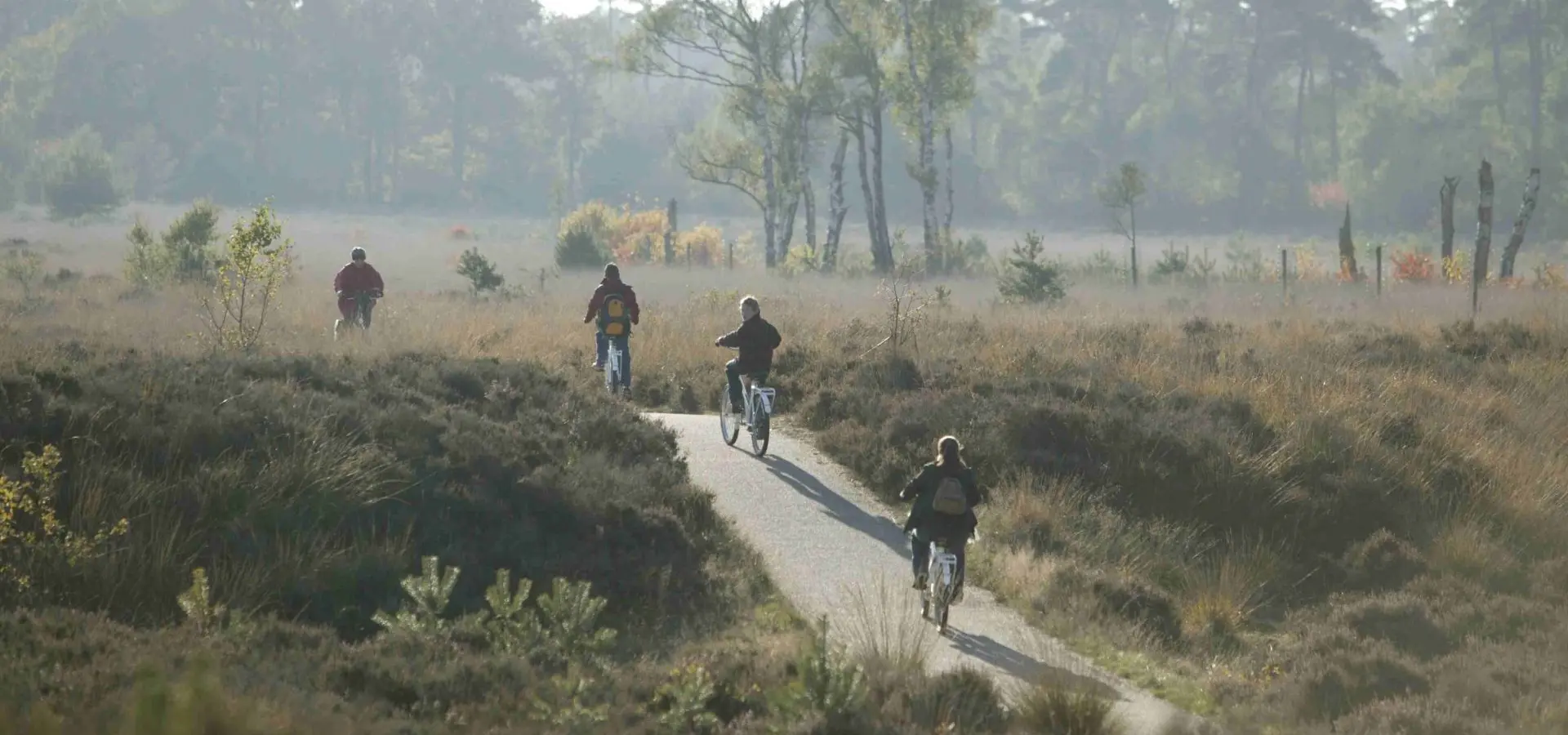 Camping bei Arnheim Nationalpark Hoge Veluwe