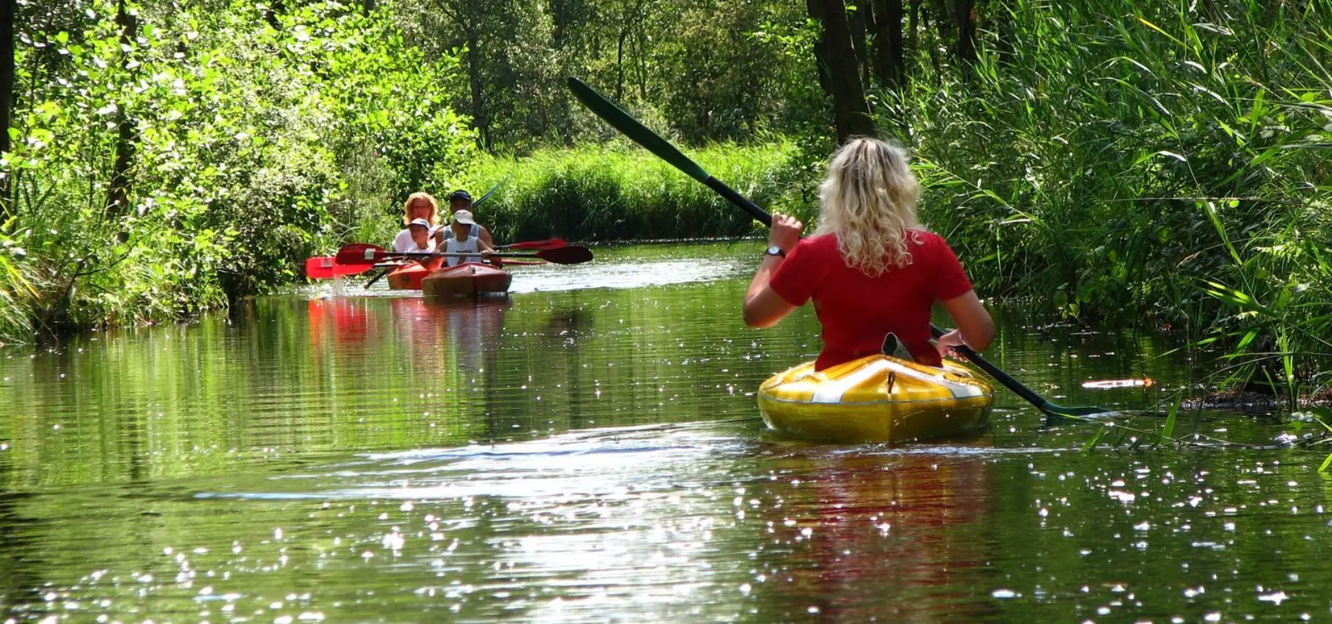Holland Campings_Camping in Vollenhove_Umgebung Nationalpark Weerribben Wieden