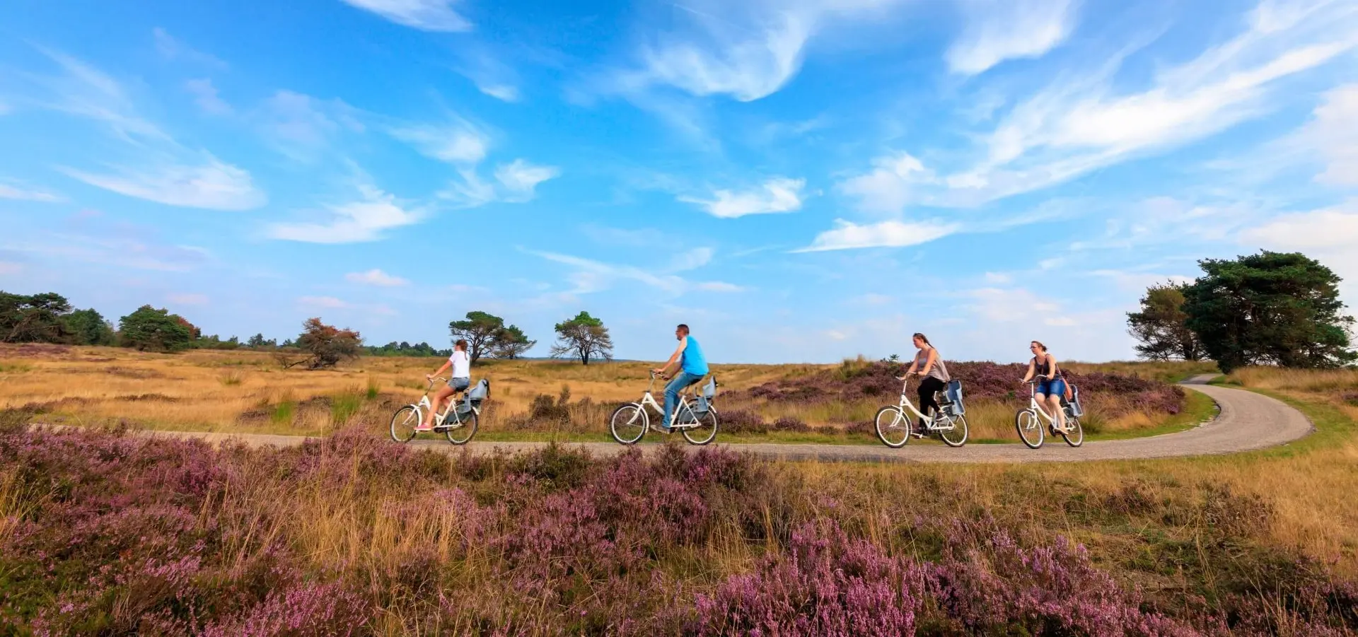 Holland Campings_Campingplatz Emst_Nationalpark Hoge Veluwe