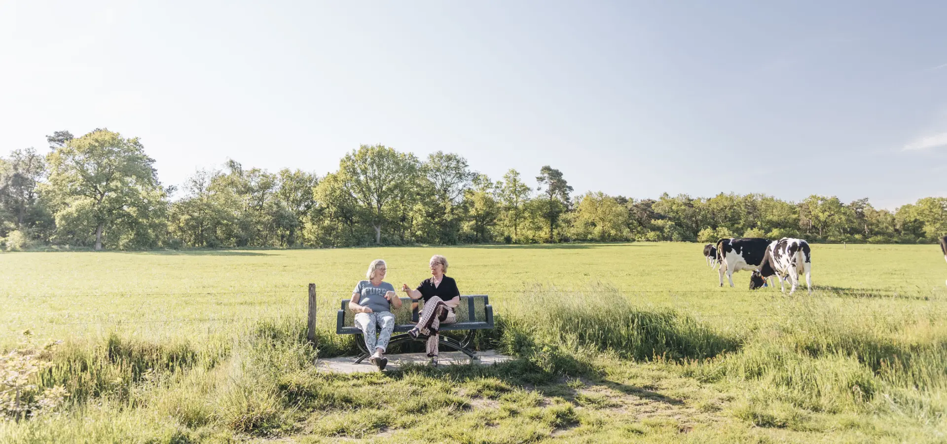 Holland Campings_Camping in Luttenberg_Landschaft
