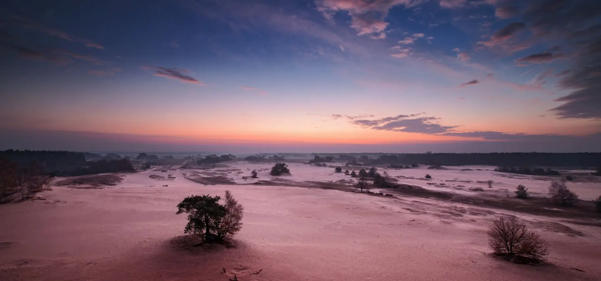 Nationalpark hoge veluwe kootwijkerzand daemmerung kilian schoenberger
