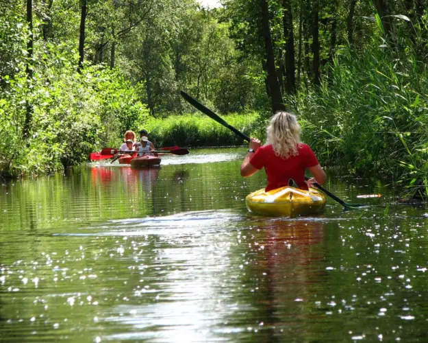 Umgebung Vollenhove Nationalpark Weerribben Wieden 3