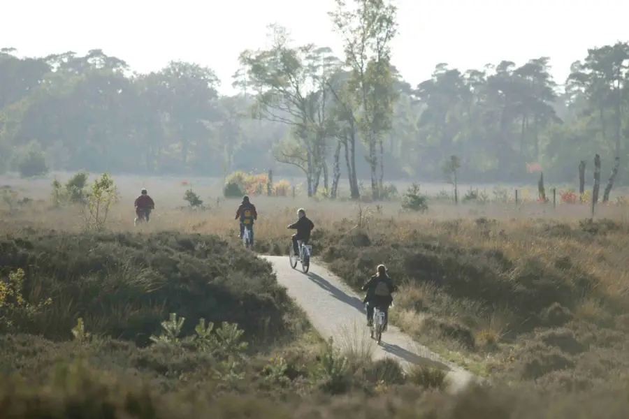 Camping bei Arnheim Nationalpark Hoge Veluwe