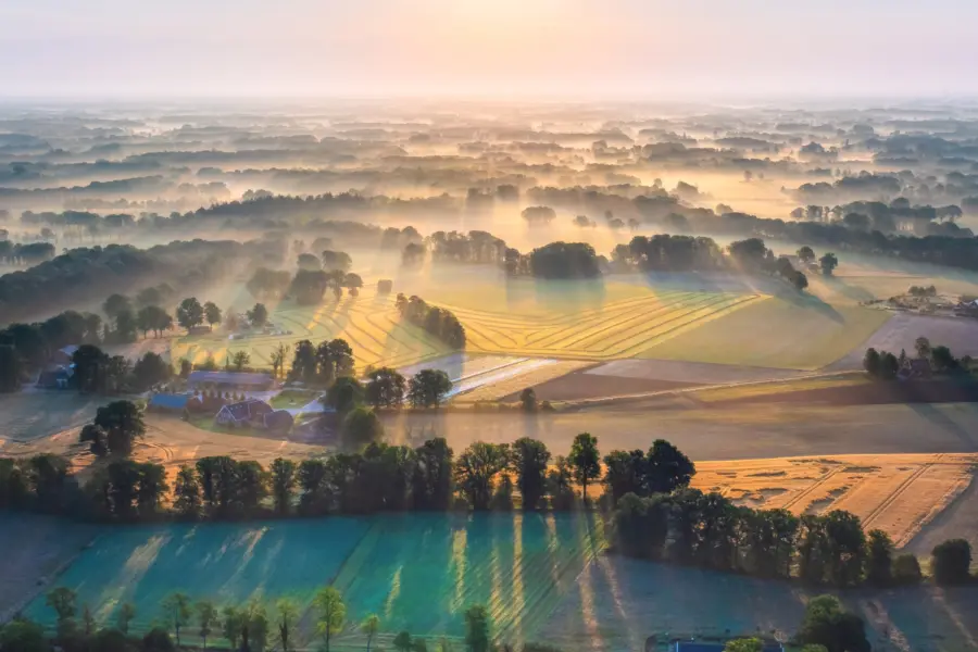 AF D 0964 magazine bewerkt