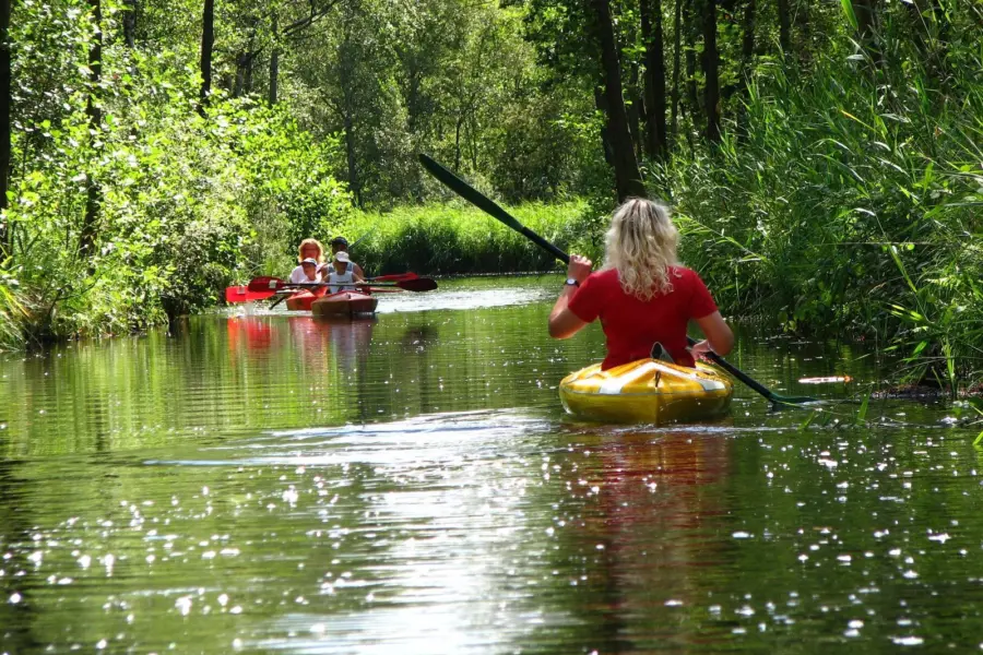 Umgebung Vollenhove Nationalpark Weerribben Wieden 3