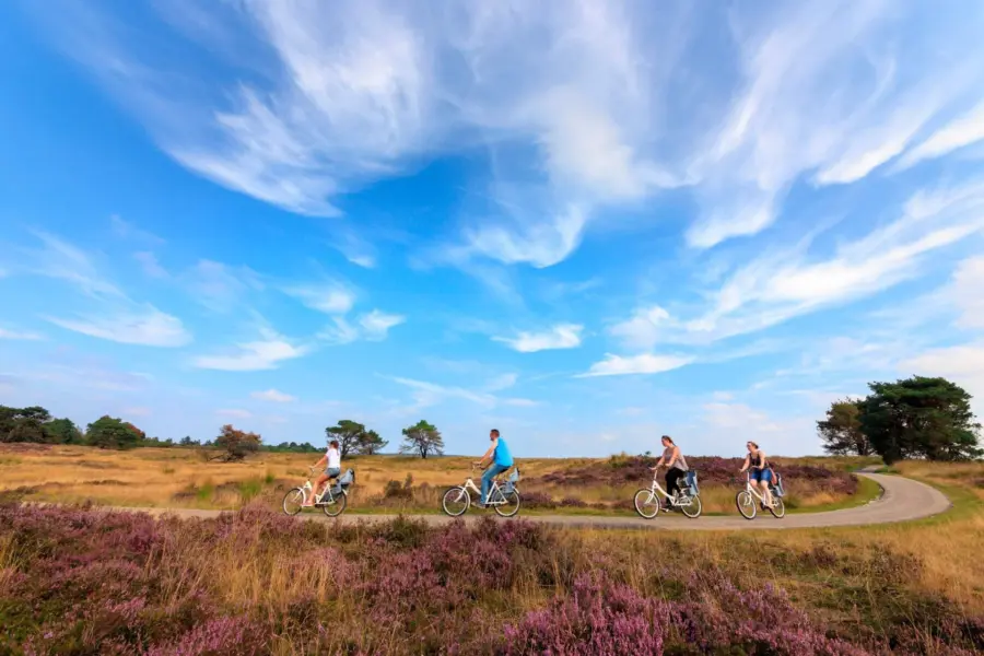 Holland Campings_Campingplatz Emst_Nationalpark Hoge Veluwe