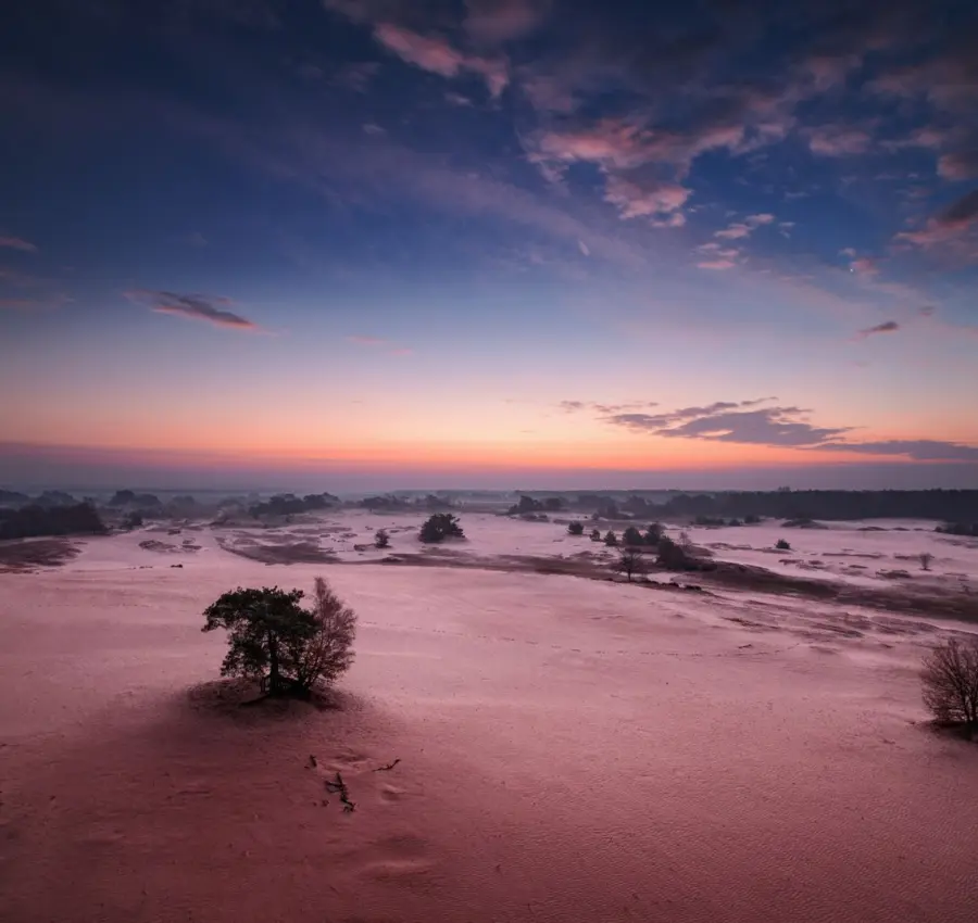 Nationalpark hoge veluwe kootwijkerzand daemmerung kilian schoenberger