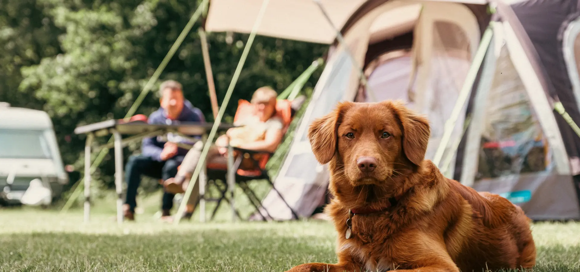 Holland Campings Komfort Campingplatz mit Hund