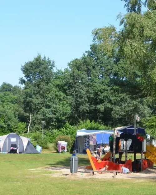 DSC 0803