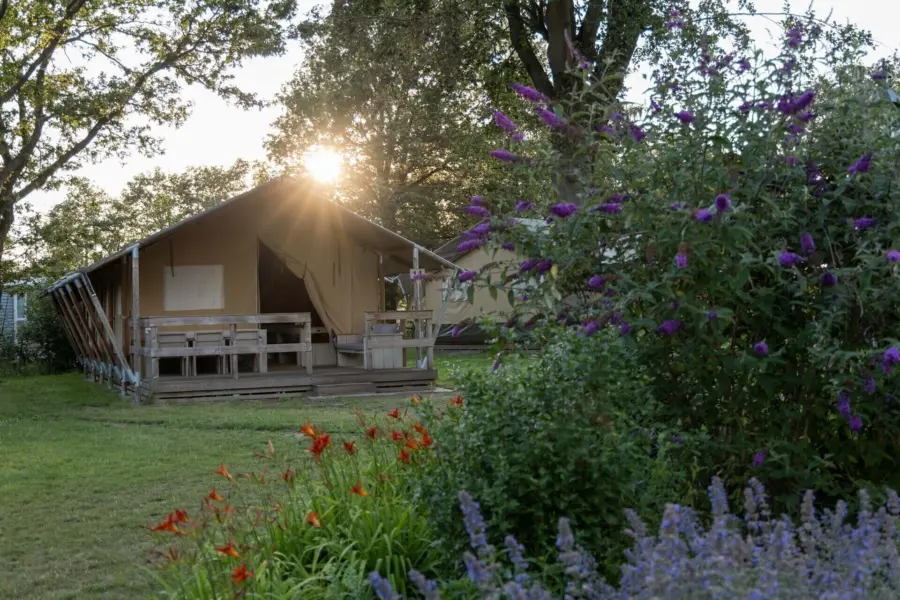Lodgetent huren winterswijk 2
