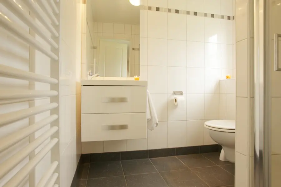 Chalet hooiruif huren winterswijk5