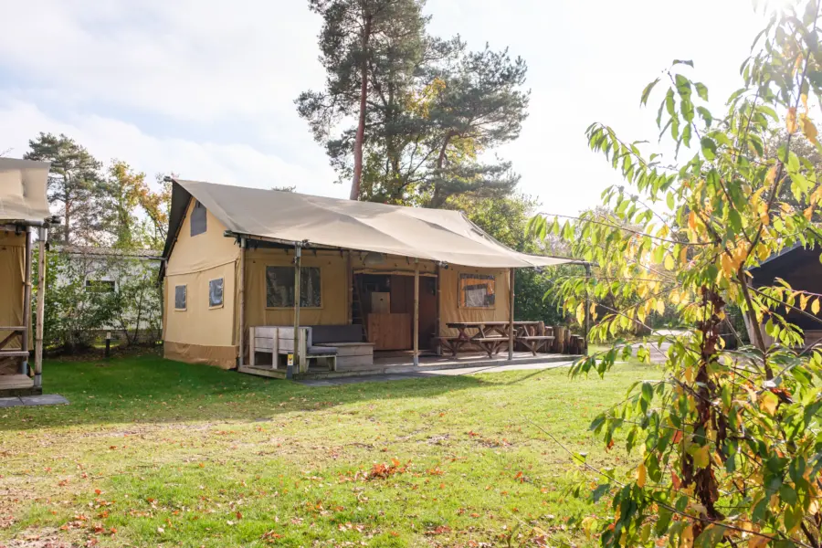 Verandalodge Herfst