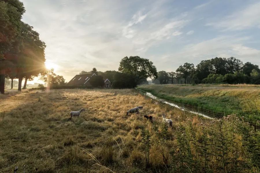 Tb20230717 0679 hdr