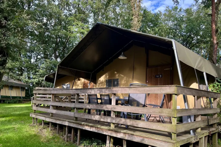 Summerlodge1