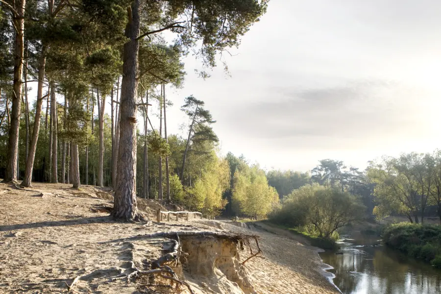 Twente landschap lutterzand Natuur