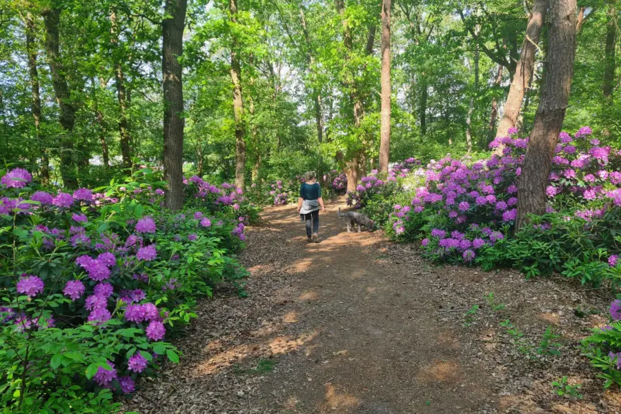 Bos vakantiepark de luttenberg