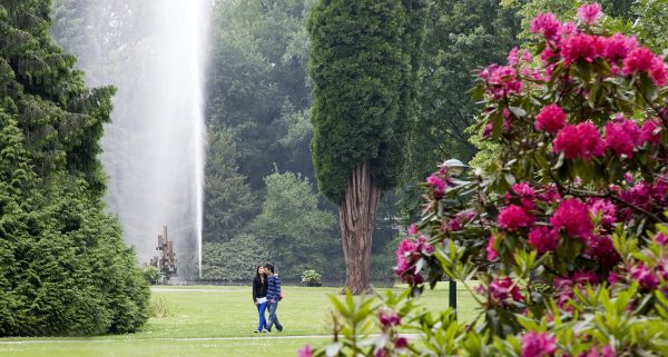 Das Volkspark in Enschede - Camping in Enschede