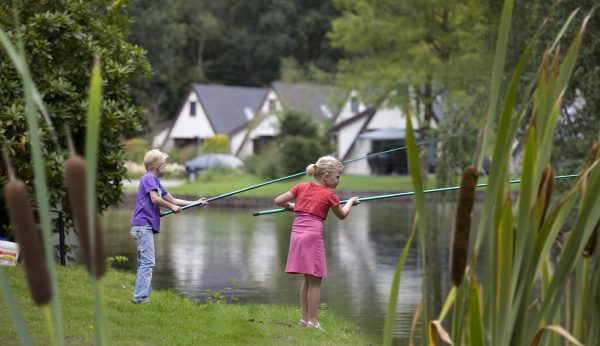 Ferienpark Holland für die ganze Familie, auch für Ihre Hund - Ferienpark Marveld Recreatie