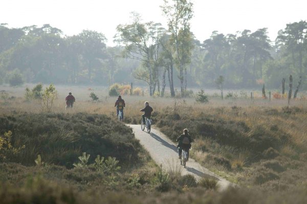 Camping bei Arnheim - Nationalpark Hoge Veluwe