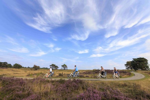 Camping in der Veluwe - Radfahren durch das Nationalpark Hoge Veluwe