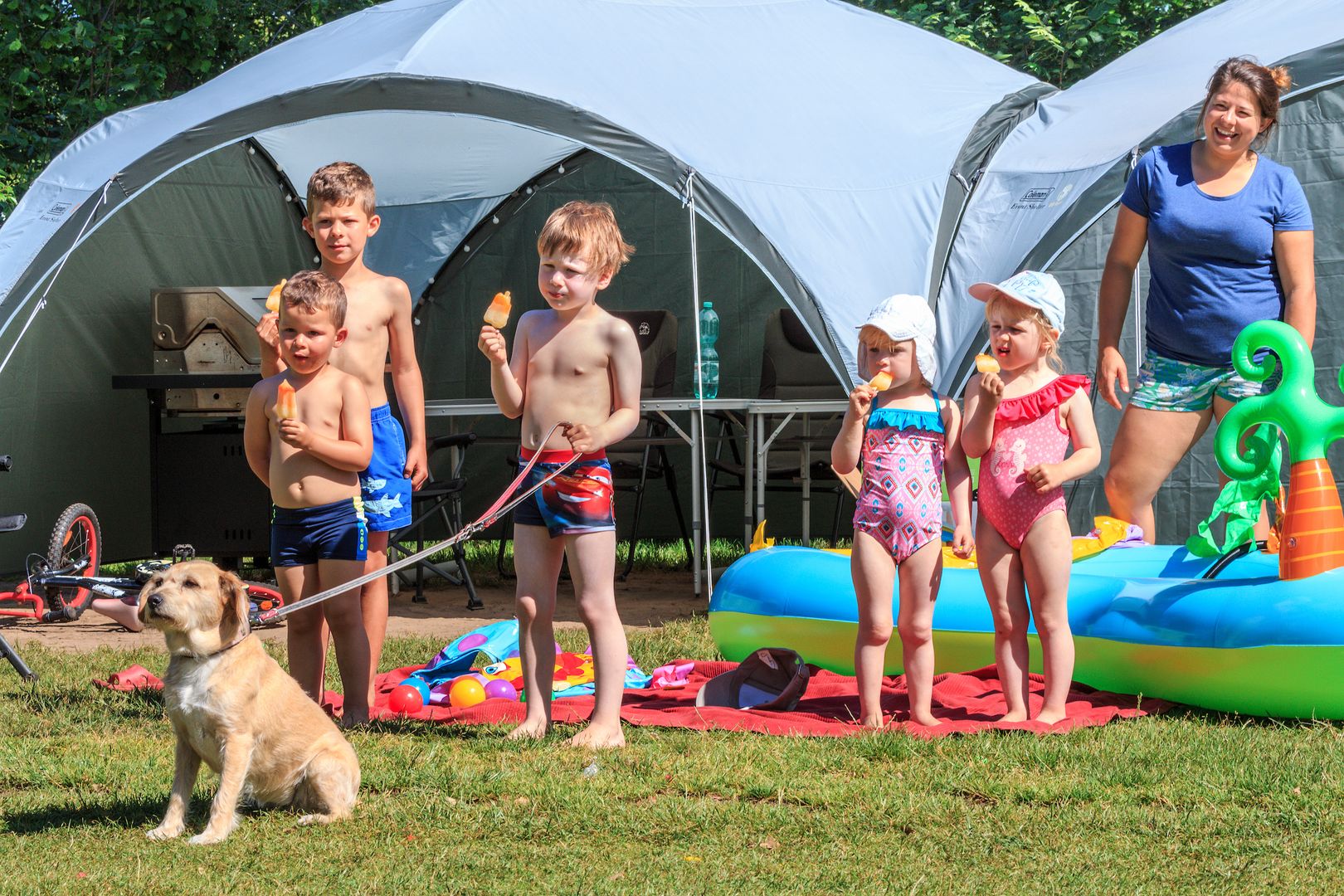 Egypten kultur overdrive Camping mit Hund in Holland | Holland Campings
